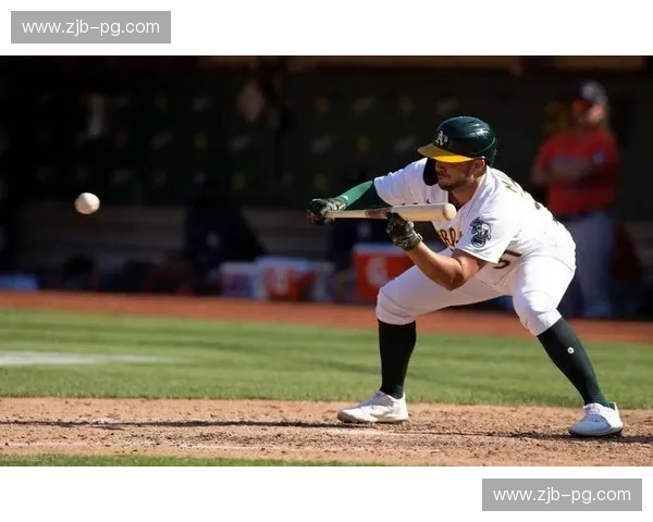 在线观看棒球完整版：把握每一次投球的热情与策略